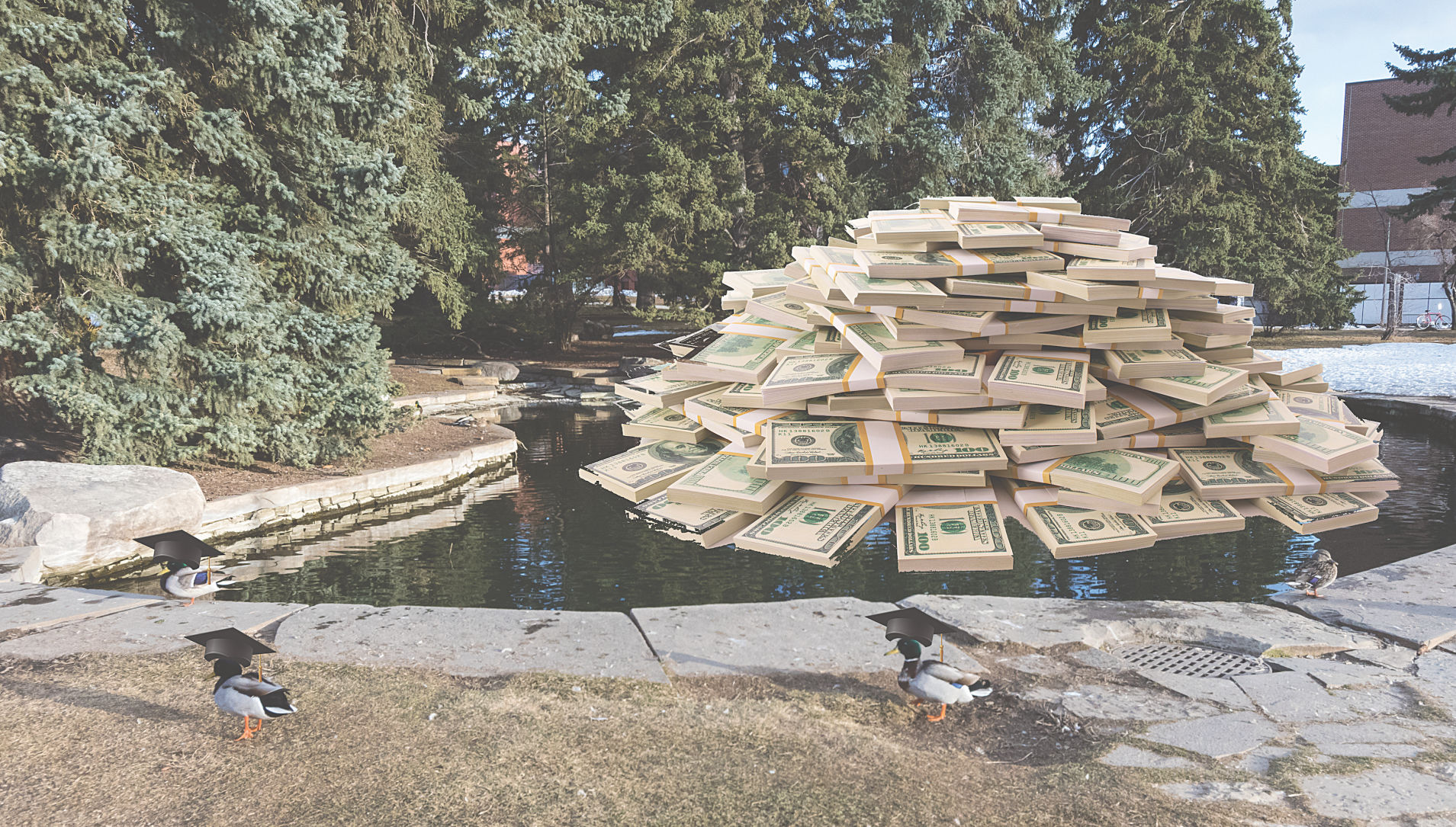 Duck Pond